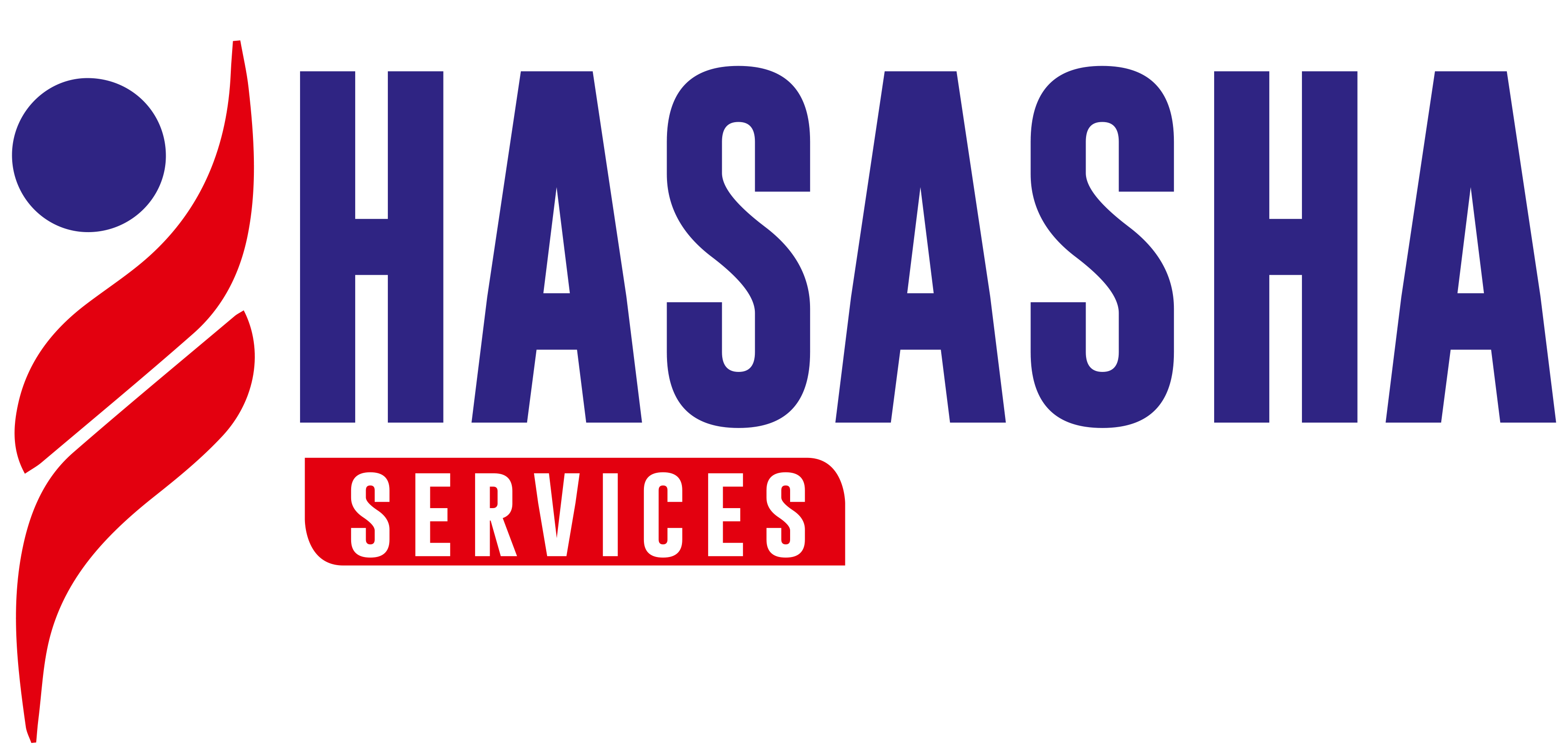 LOGO HADASHA